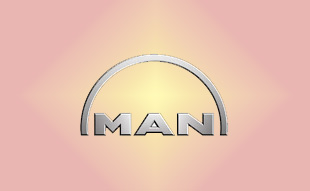 ✓ MAN 42553413 Фильтр воздушный 